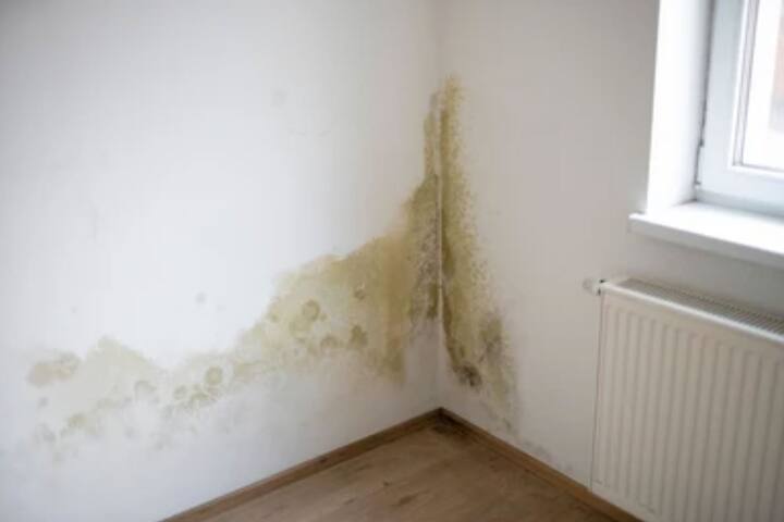 COUNTRY CAPITAL WATER DAMAGE PROS 9000 Hermosa Rd, Bakersfield, CA 93307 (661) 228-5058
